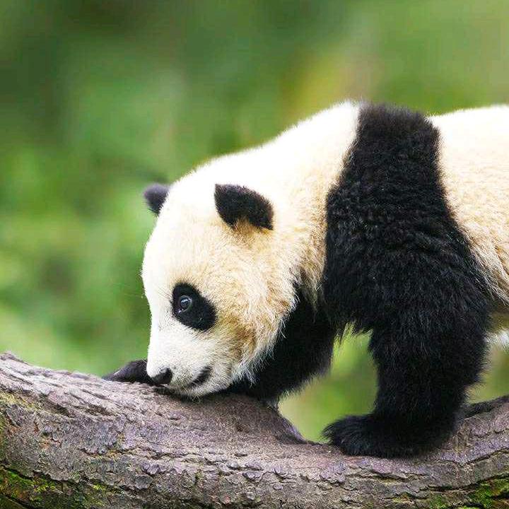 ！