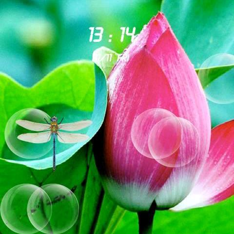 遥远的距离