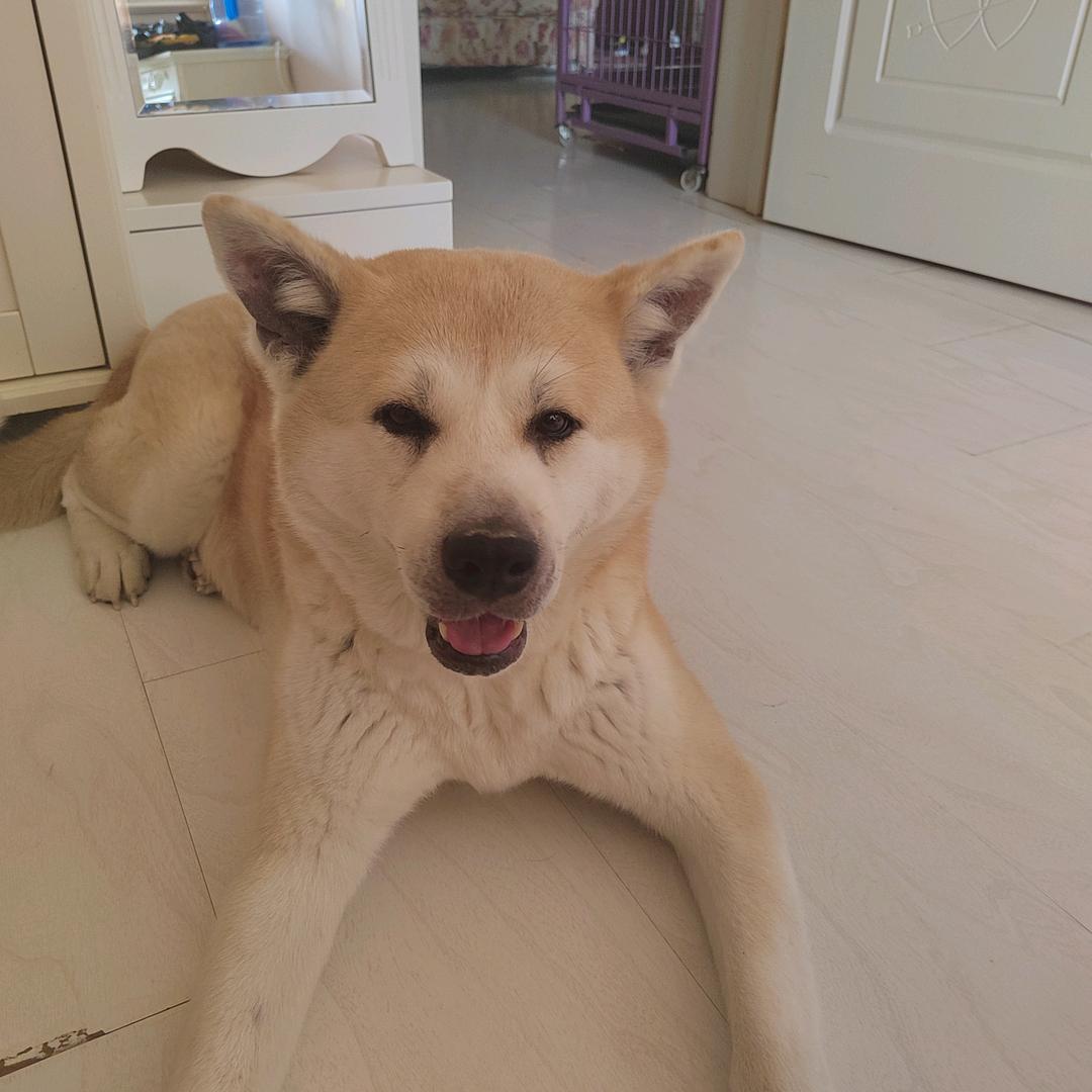 有情皆孽（樑）