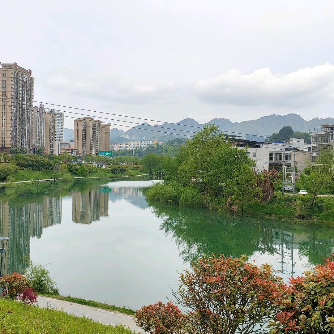 咸鱼小顺子