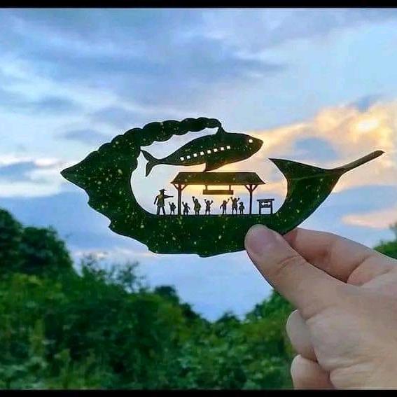 枫屿🍀春Sr