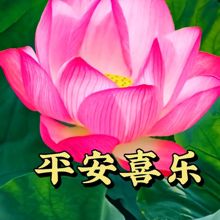 陈大姐