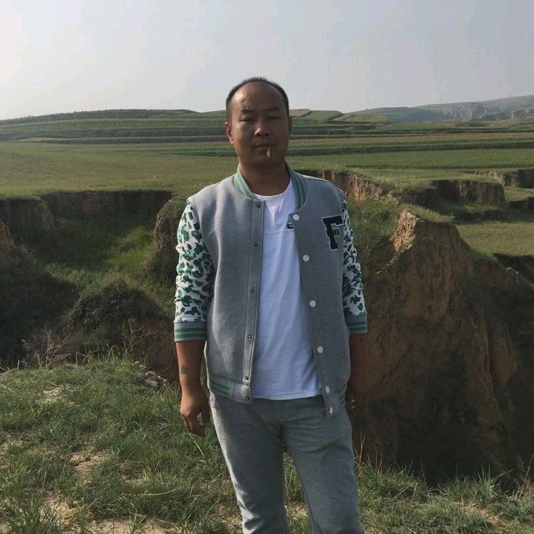 小龙
