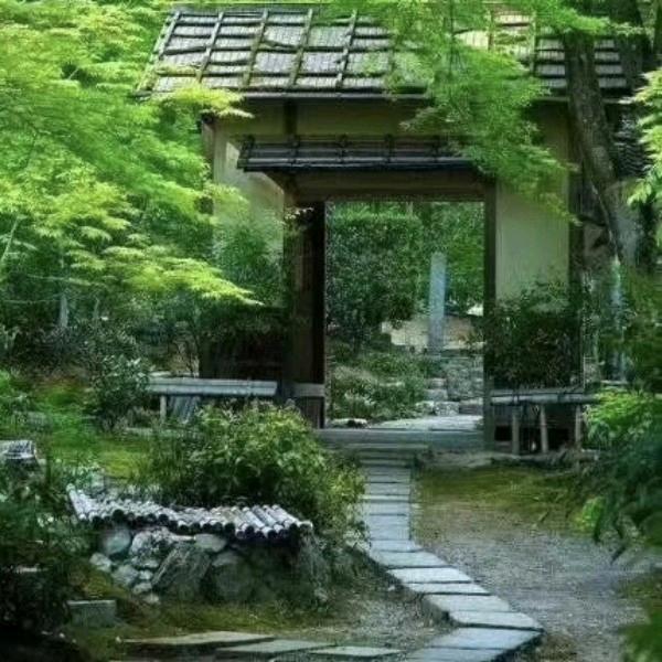 半夏（山水）
