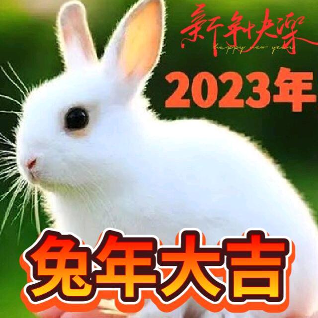 用户8235579033001一生有你