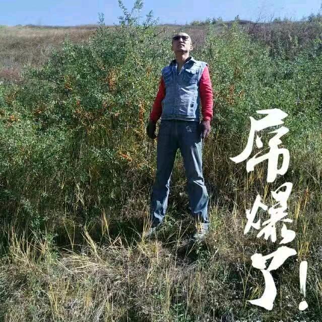 蒙力新能源