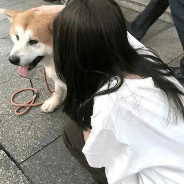 Y～～