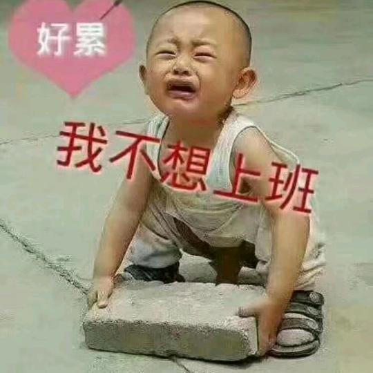傻瓜爱笨蛋