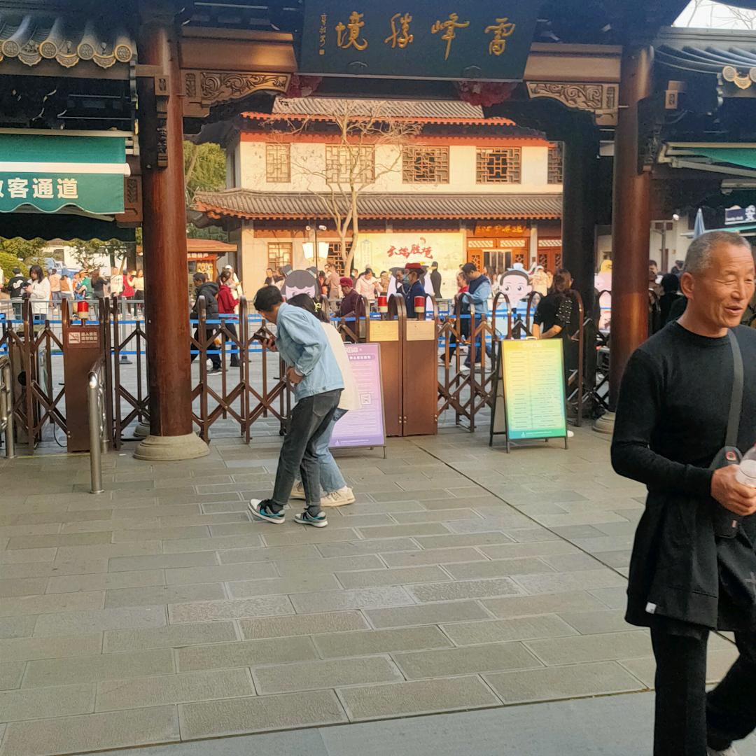 流浪牛