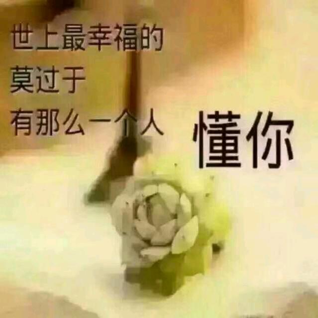农村赵四