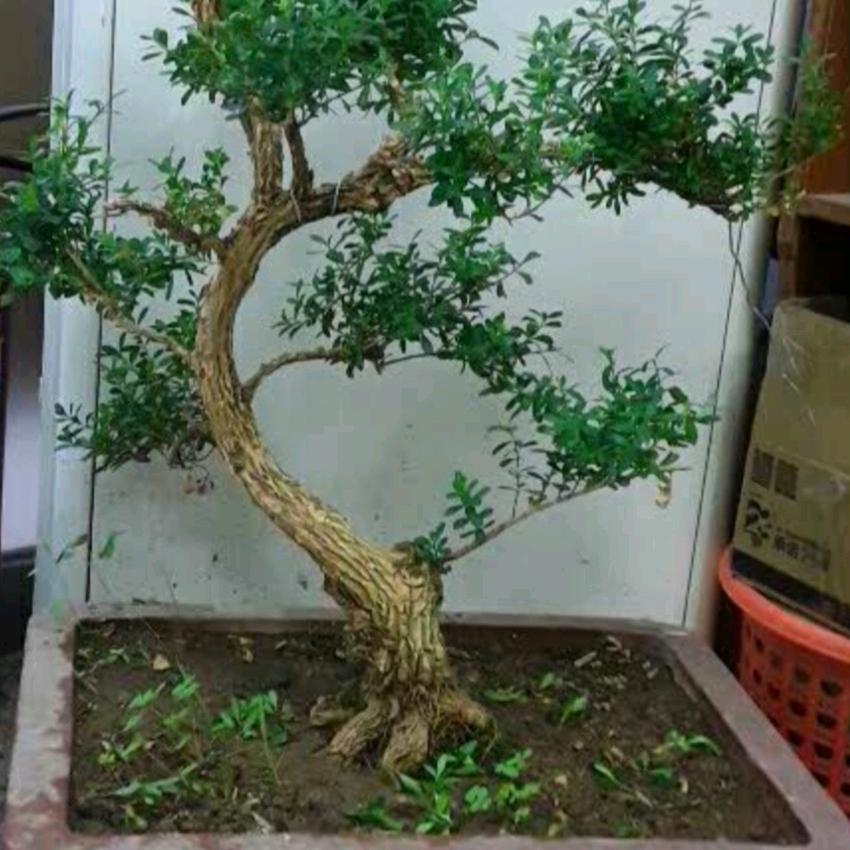 相遇💕幸福😊