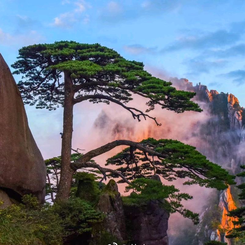 抱朴斋的书法生活