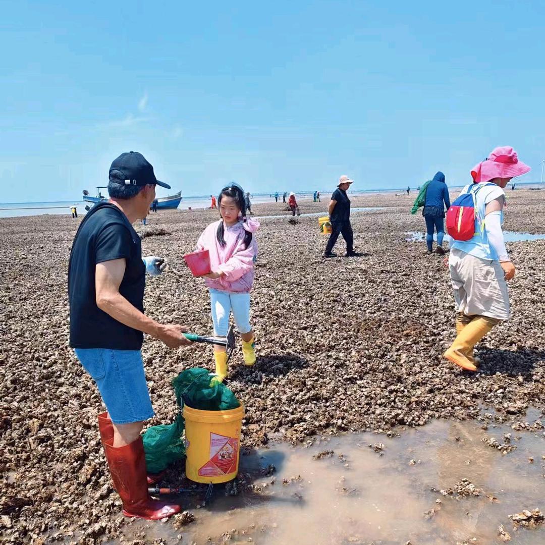 赶海一哥游船（天津出海）