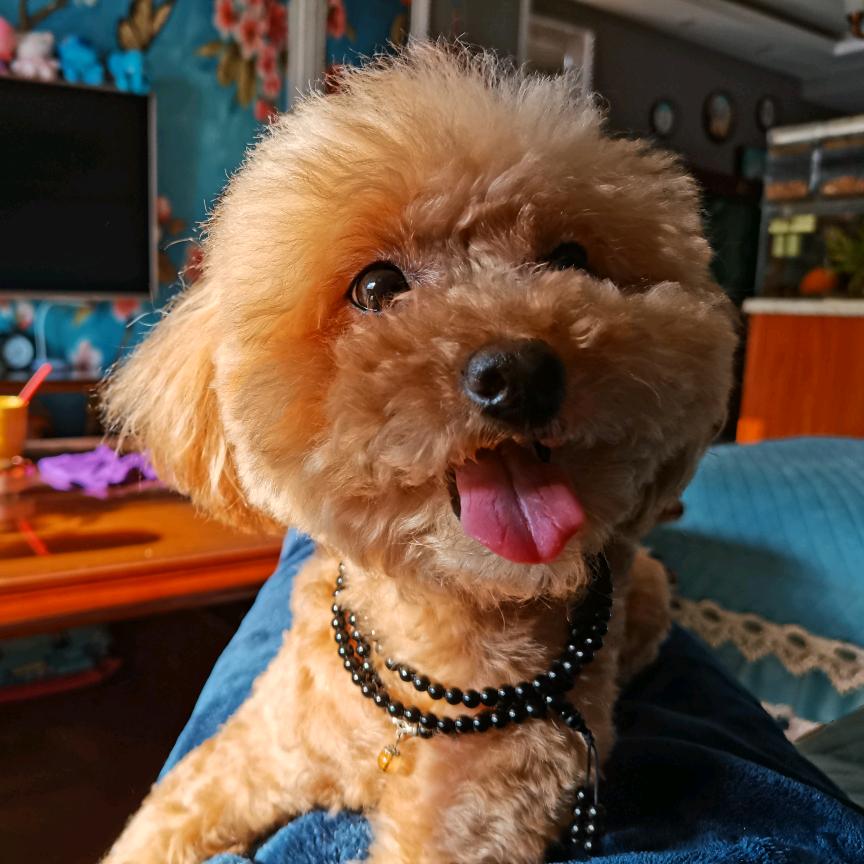 撑醒饭.