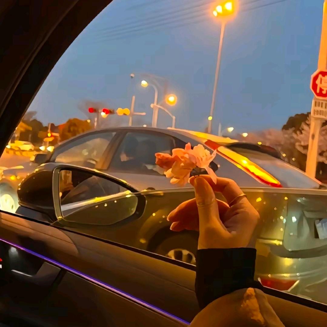 晚风漫漫.
