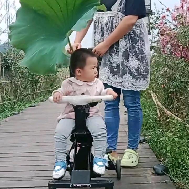 刘慧