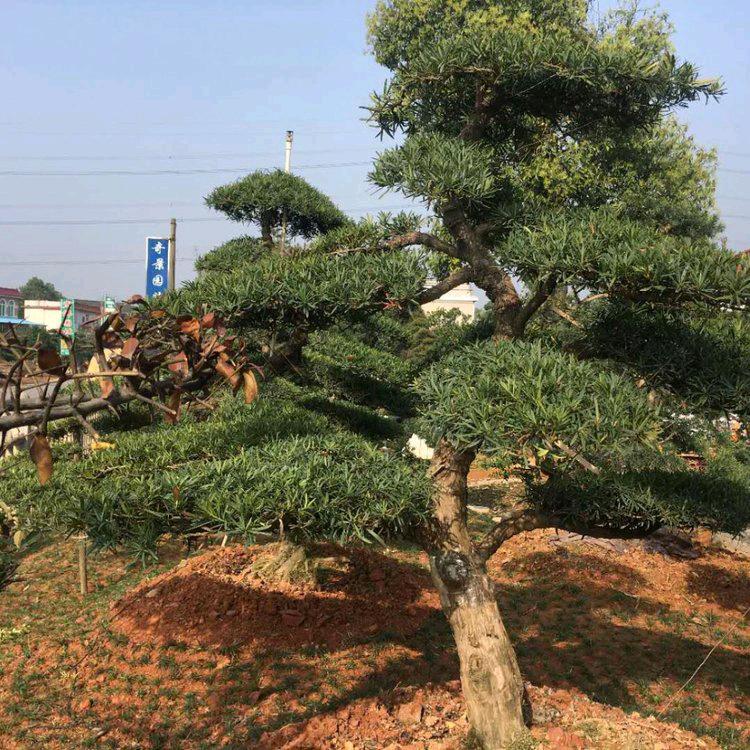 ☞༺ཉི།手心手背⁵²⁰༒ۣ¹³