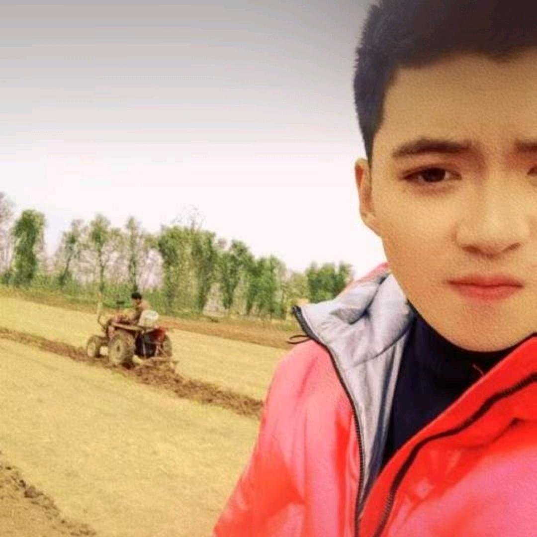 庞大拿（淮阳张雨小弟）