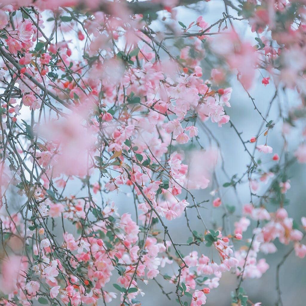 奶爸小宋