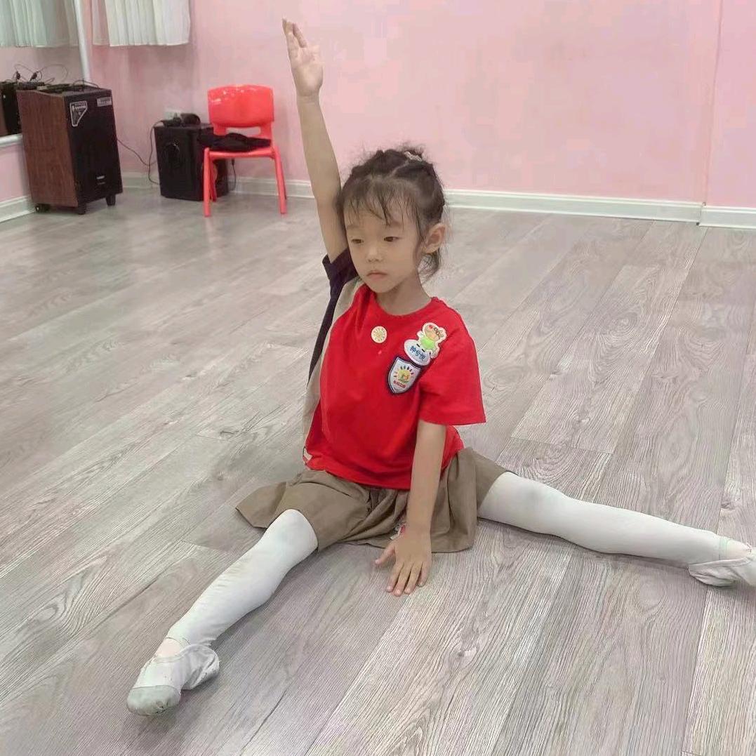 飞翔子