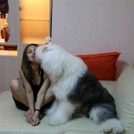 大怨种主妇