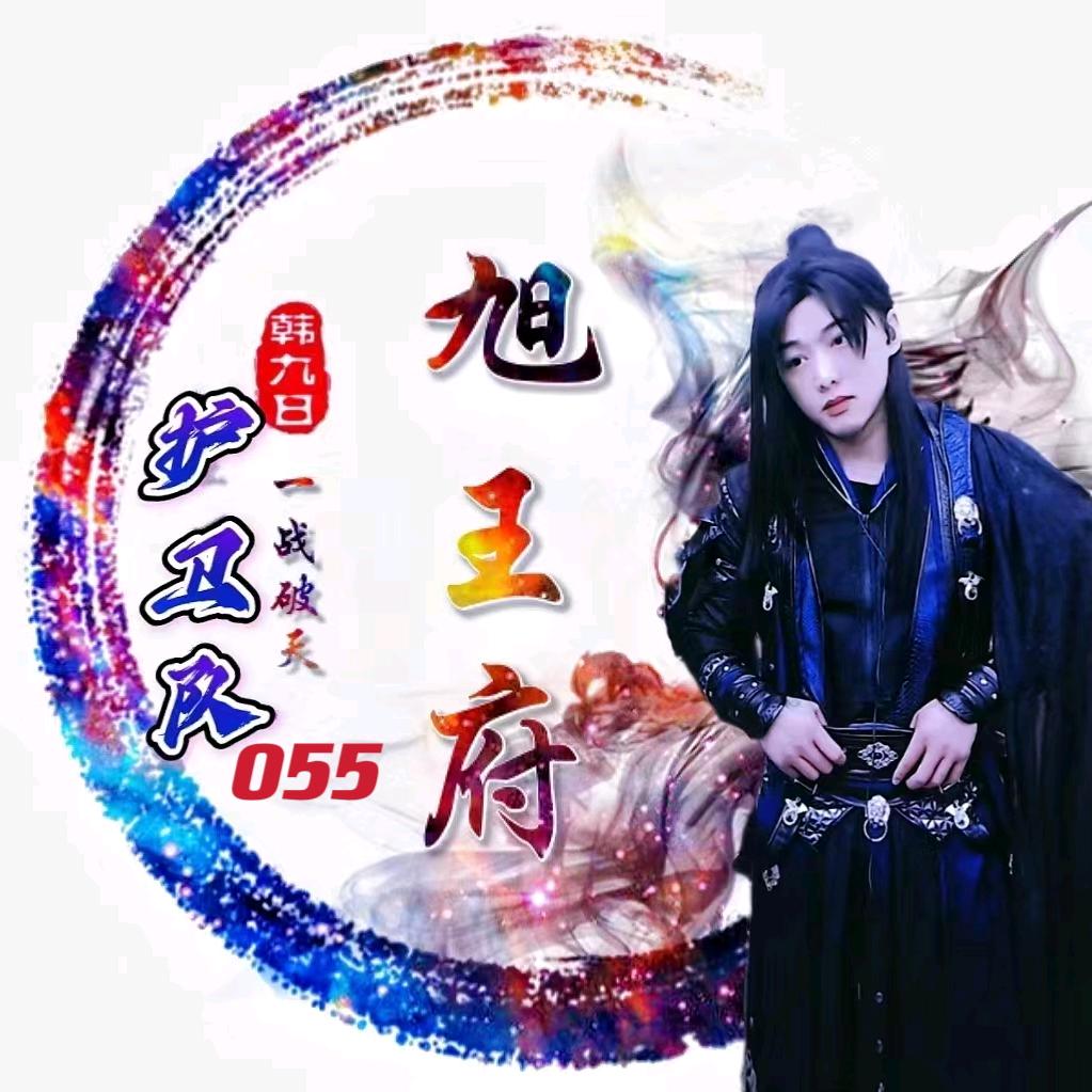 护卫055【旭王府】