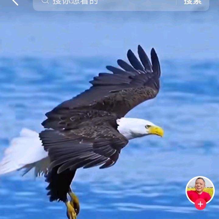 水库