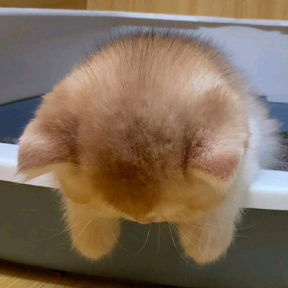三两
