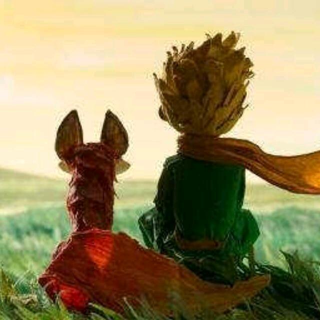 斯逗恩丶