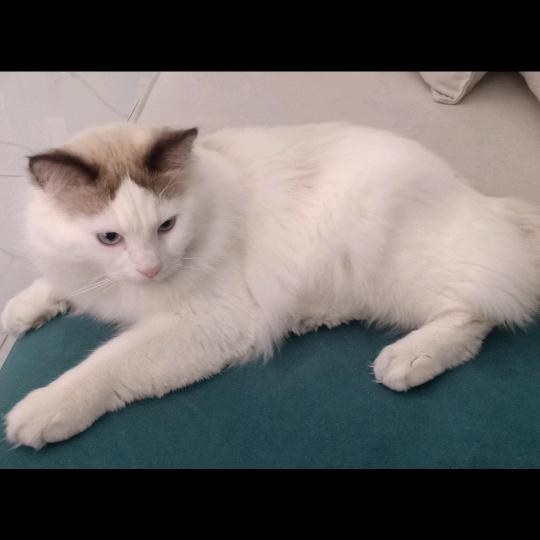 平平淡淡才是真