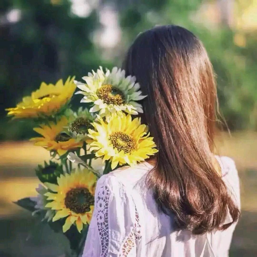向日葵🌻（橱窗好物）