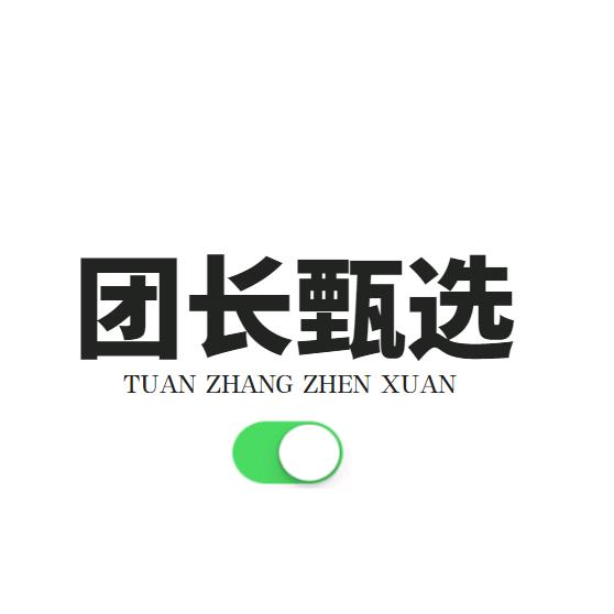 团长甄选
