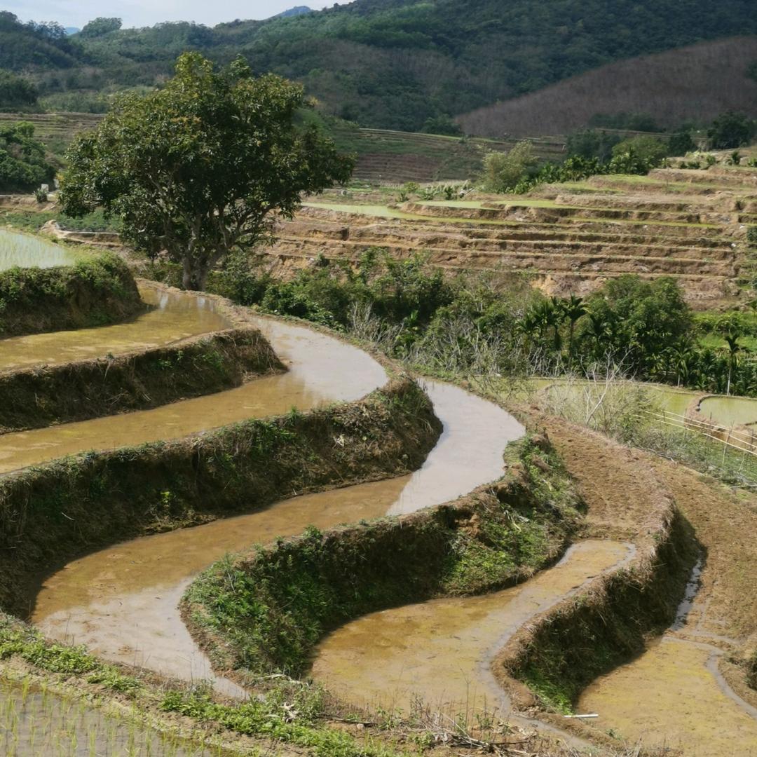 一天到晚游泳的猴🐵