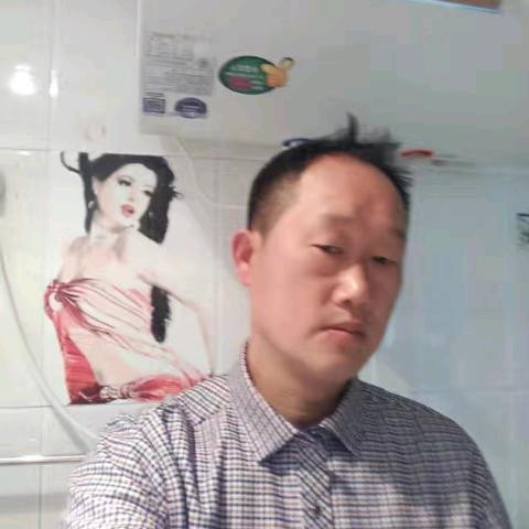48698074278北方棕熊