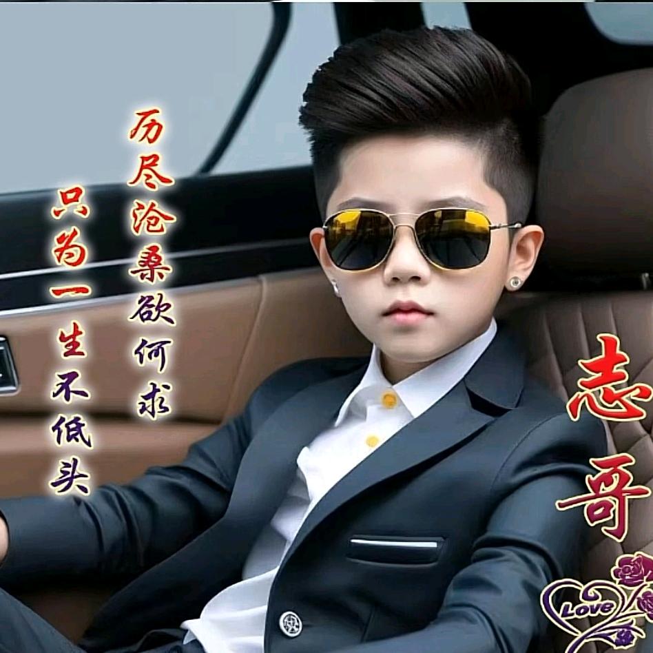 志
