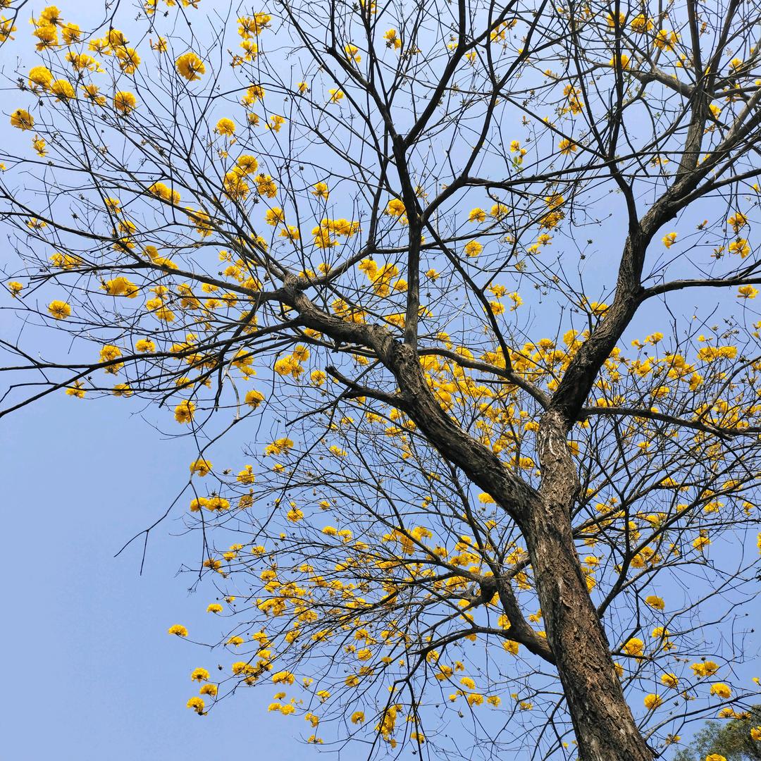 喜欢阳光的味道