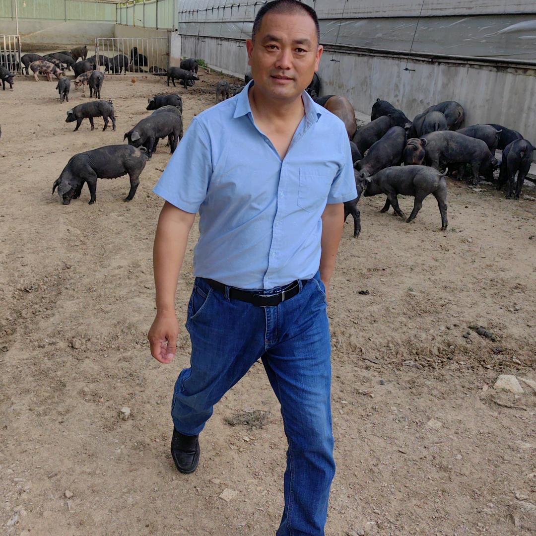 明光市宋守玉跑山黑猪，生态甲鱼养殖