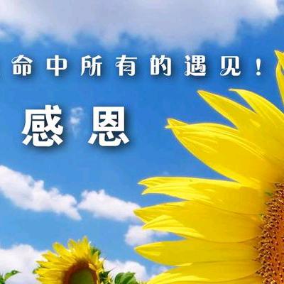 苹果