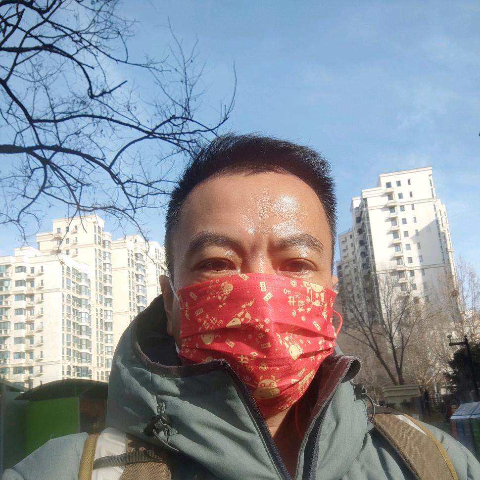 春归须纵歌