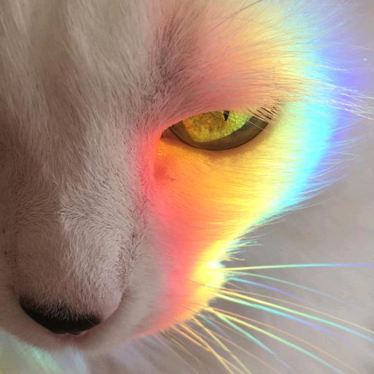 来自小岛的小伍。