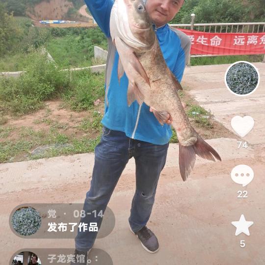 党哥喂鱼