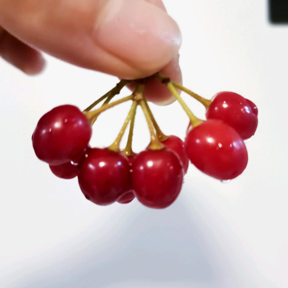 哟嚯嚯嚯 o(￣▽￣