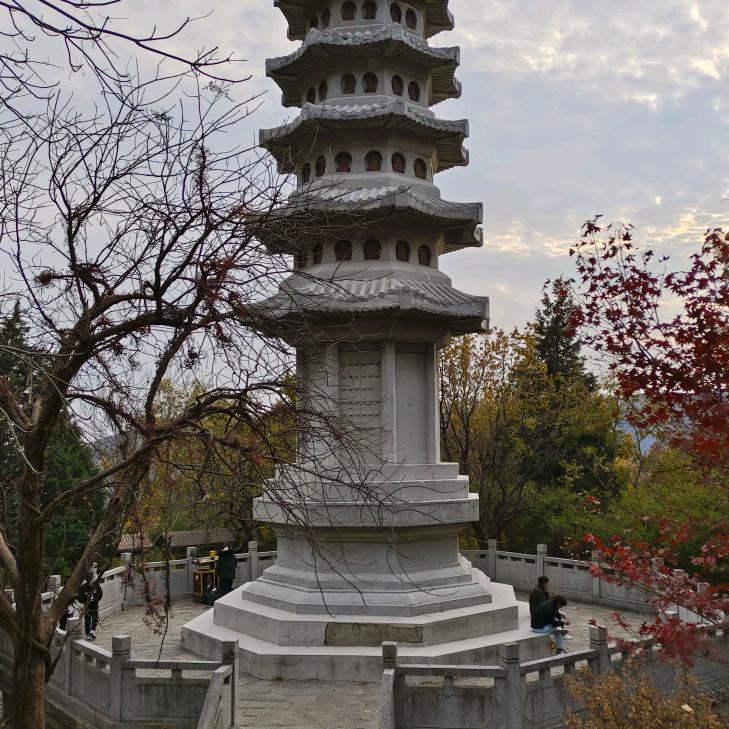斜阳551
