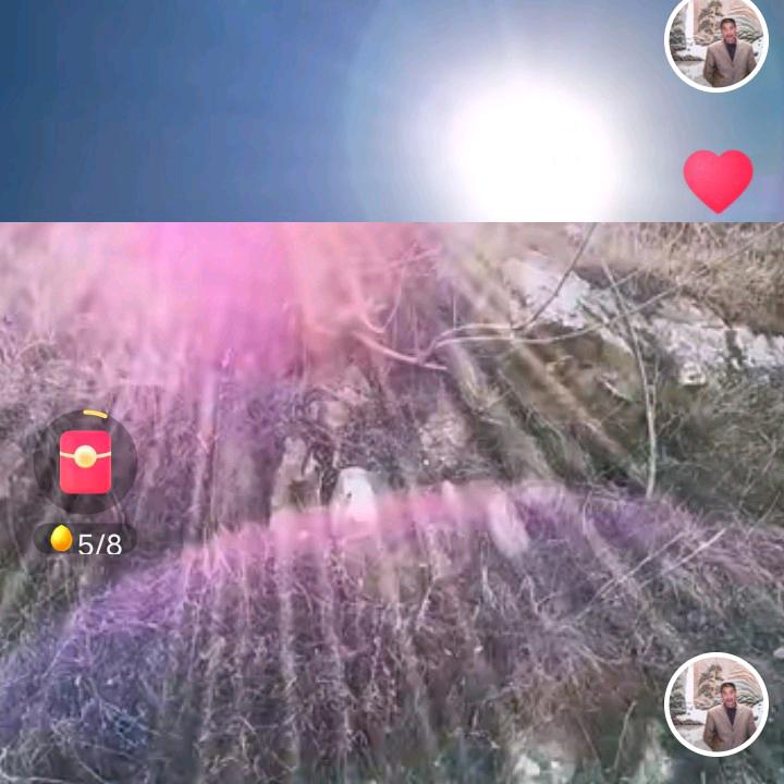 万紫千红红万紫