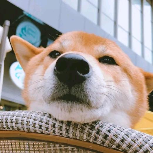 ꧁萌꧂