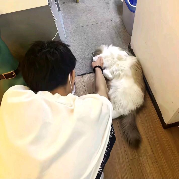 少年