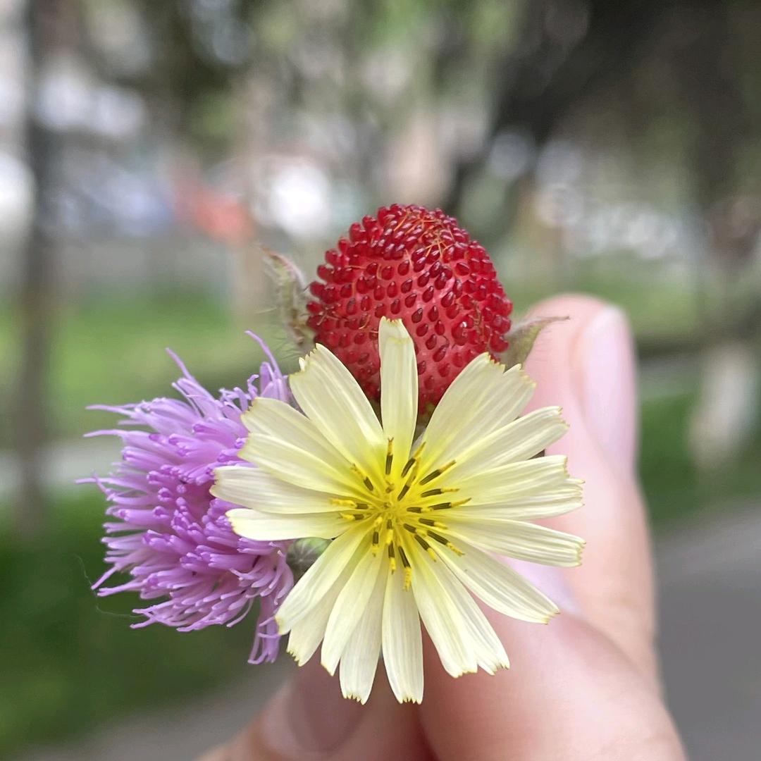 如果果甄选生活馆