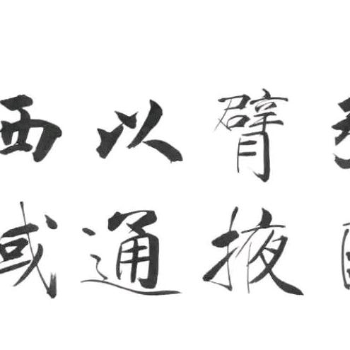 短视频上的金张掖