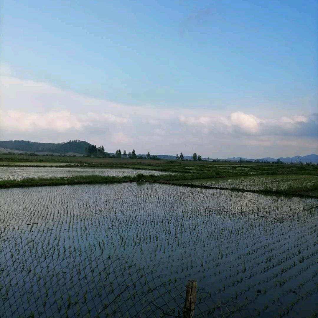 坦然