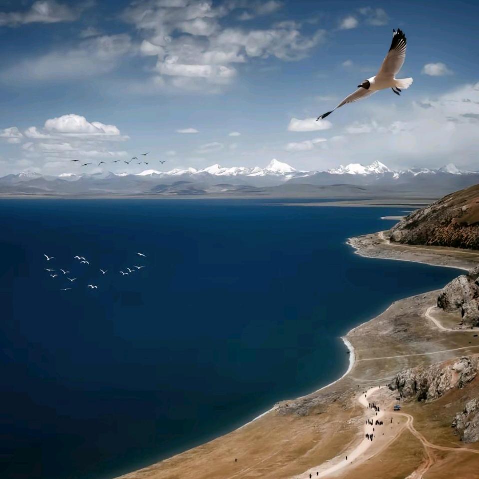 @王先生.创亿达